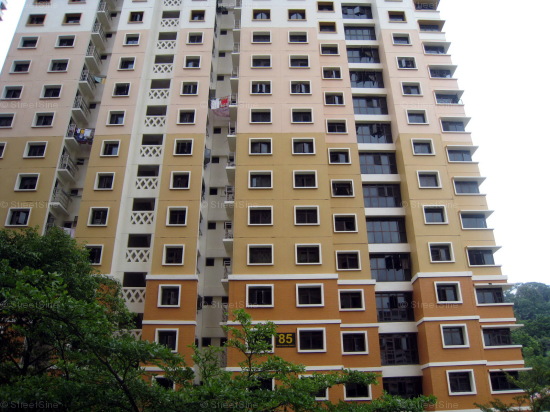 Blk 85 Telok Blangah Heights (Bukit Merah), HDB 5 Rooms #256252